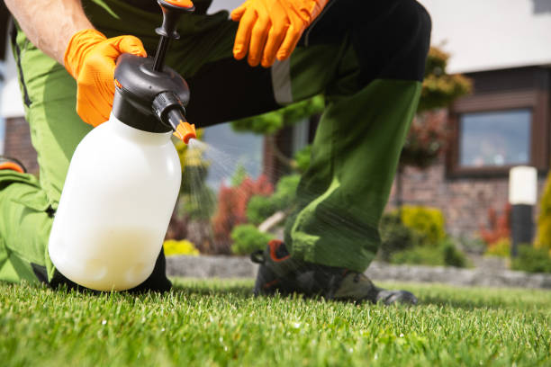 Best Bed Bug Extermination  in Solvay, NY