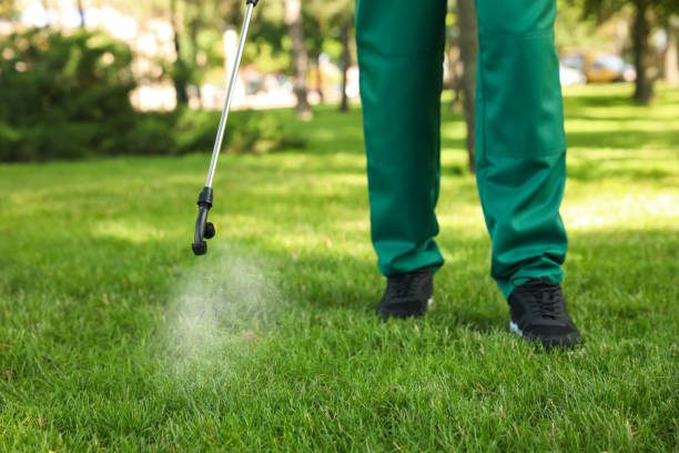 Best Rat Extermination Near Me  in Solvay, NY
