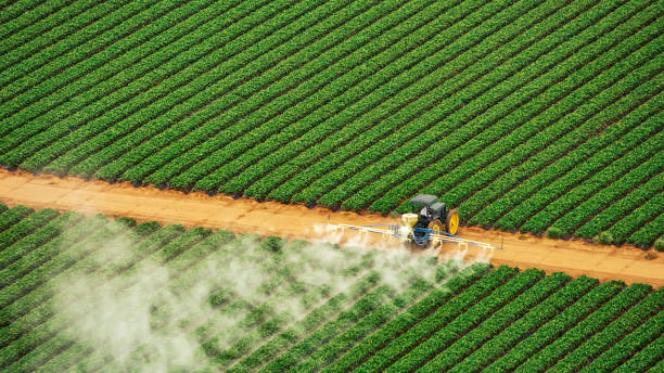 Reliable Solvay, NY Pest Control Solutions