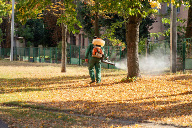 Best Pest Control Treatment  in Solvay, NY